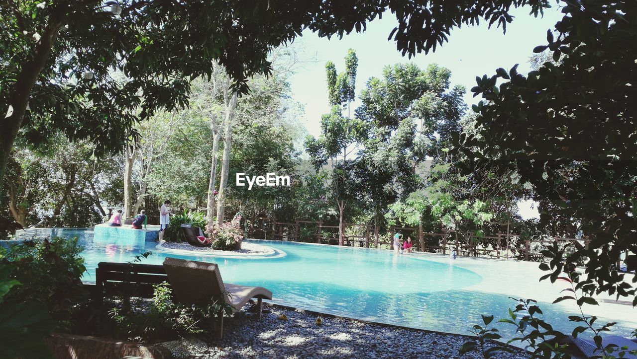 FOUNTAIN IN SWIMMING POOL AGAINST TREES