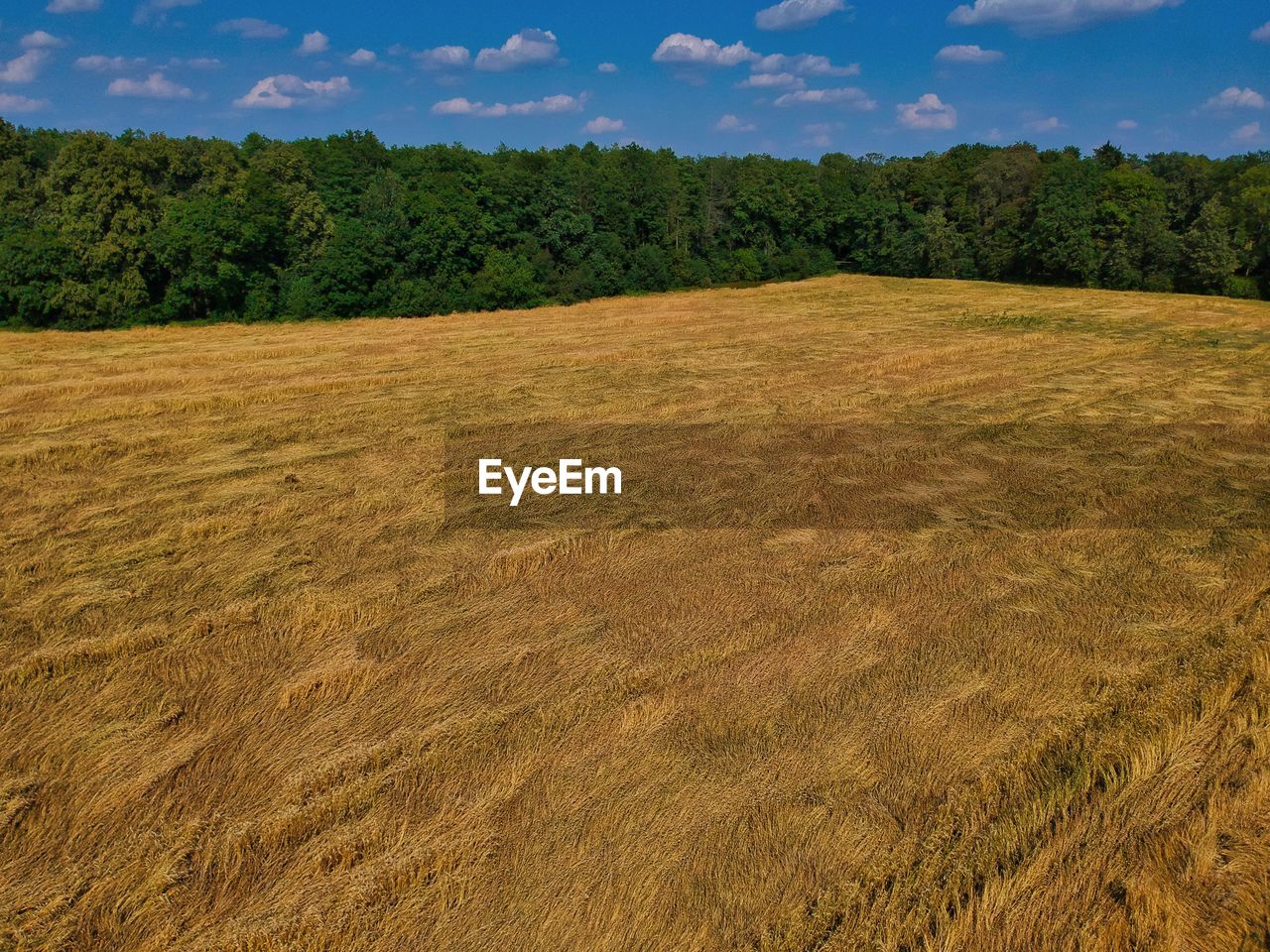 SCENIC VIEW OF LAND AGAINST SKY