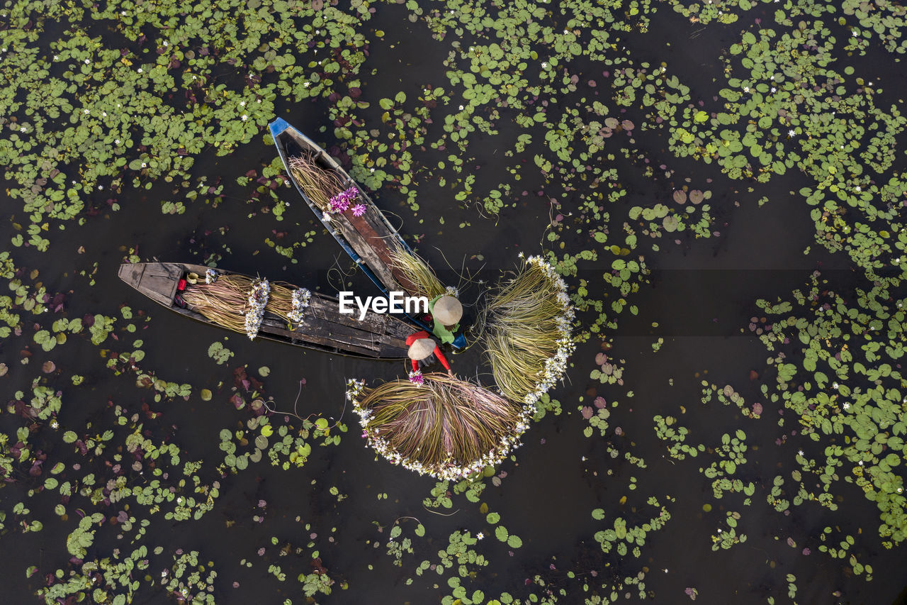 high angle view of boat in water