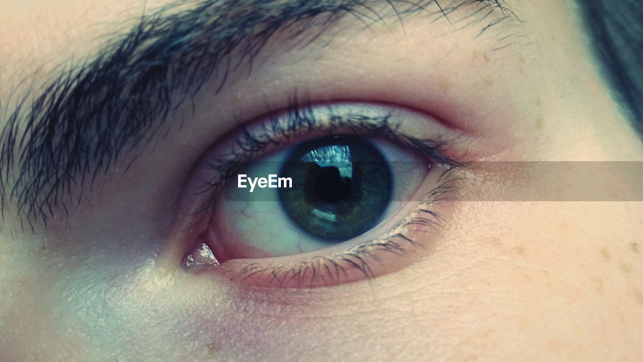 Cropped image of person eye