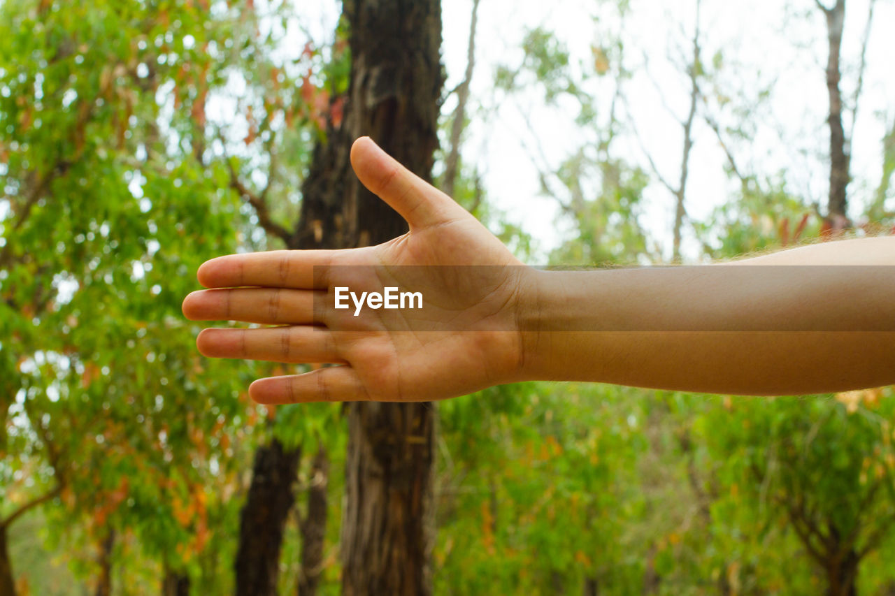 Cropped hand showing stop gesture against trees in forest