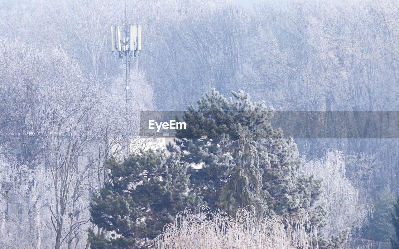 SCENIC VIEW OF SNOW COVERED MOUNTAINS