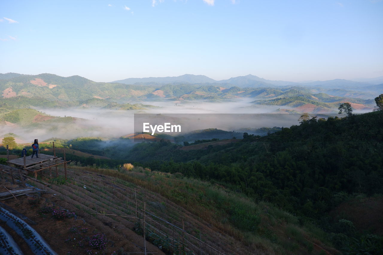 Scenic view of agricultural landscape against sky