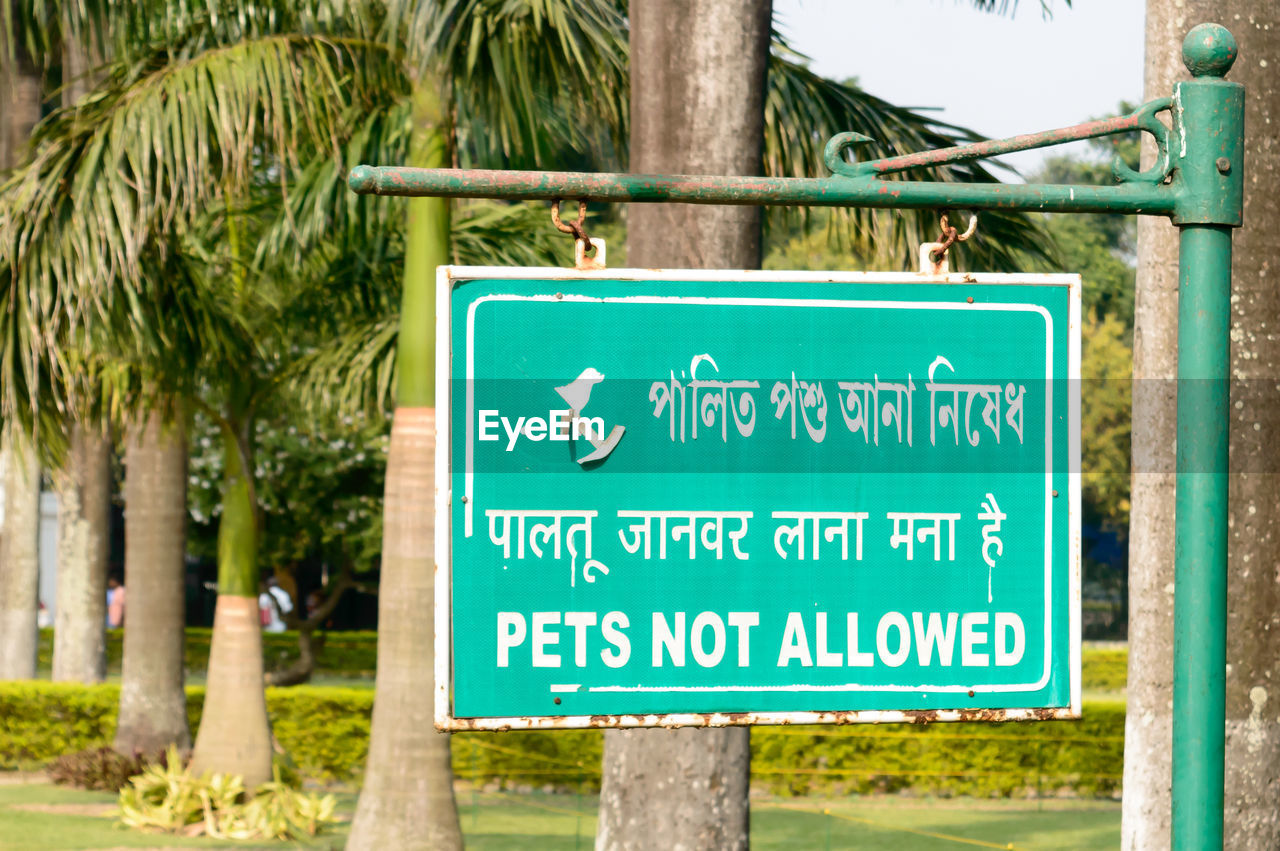 CLOSE-UP OF WARNING SIGN ON TREE