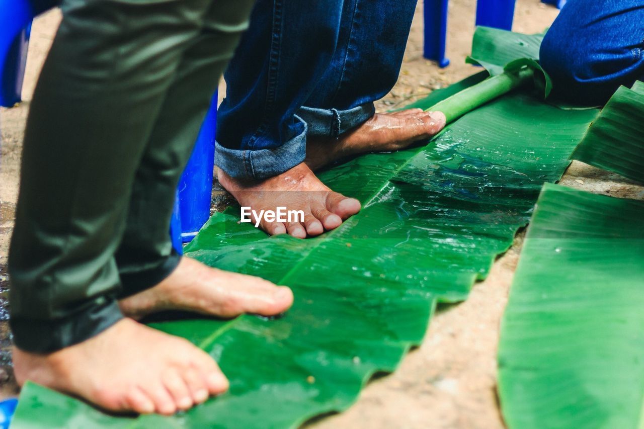 Low section of men standing on wet banana leaf outdoors