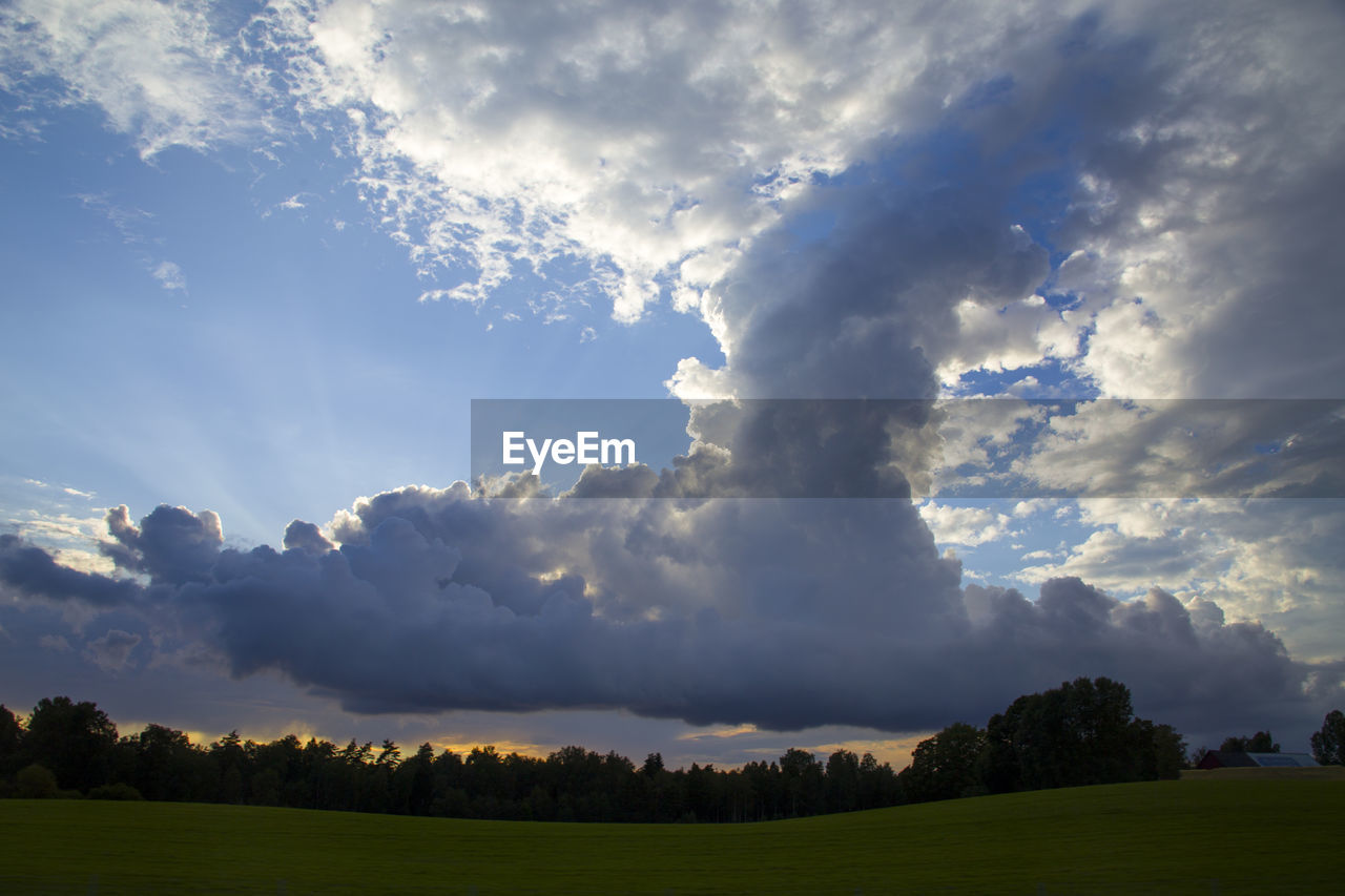 LANDSCAPE AGAINST SKY