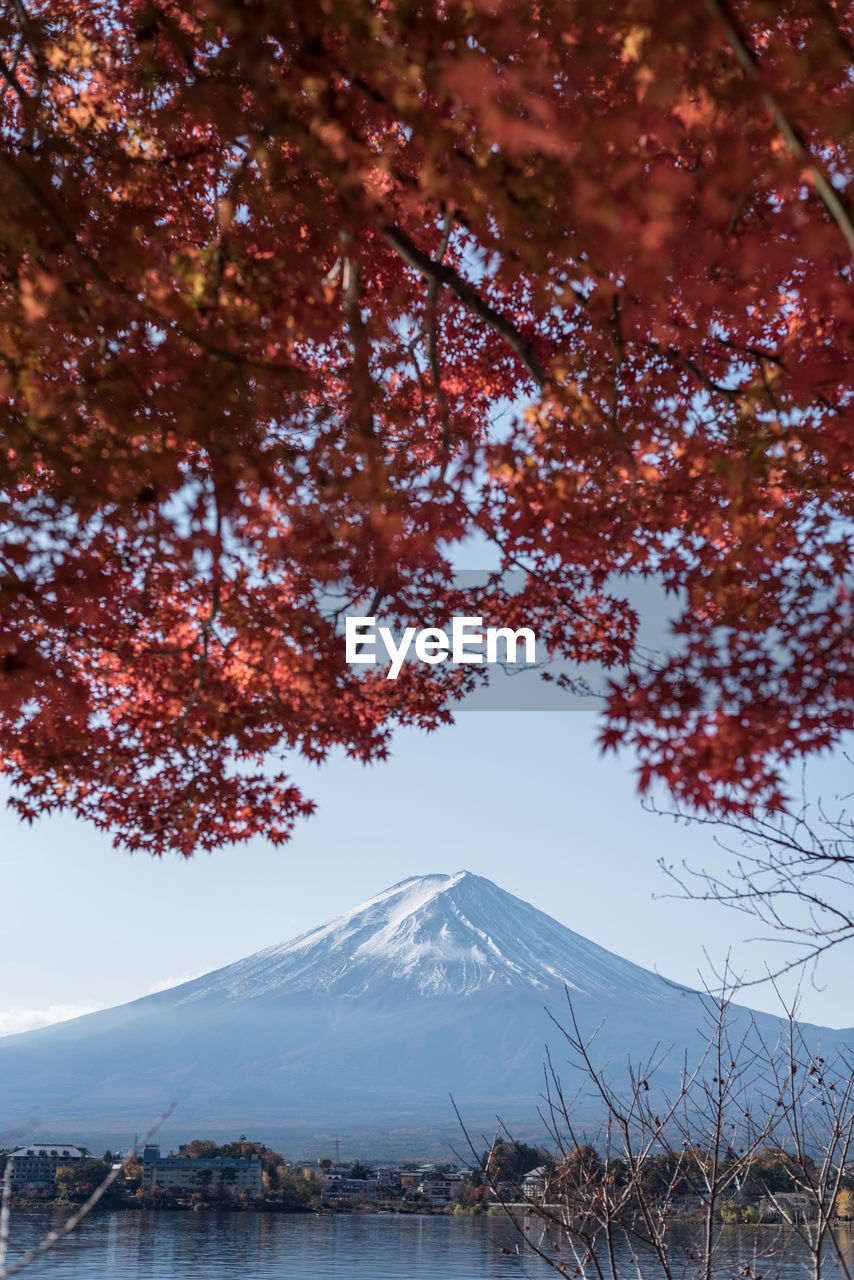Fuji mountain with autumn maple leaves view in kawaguchigo lake