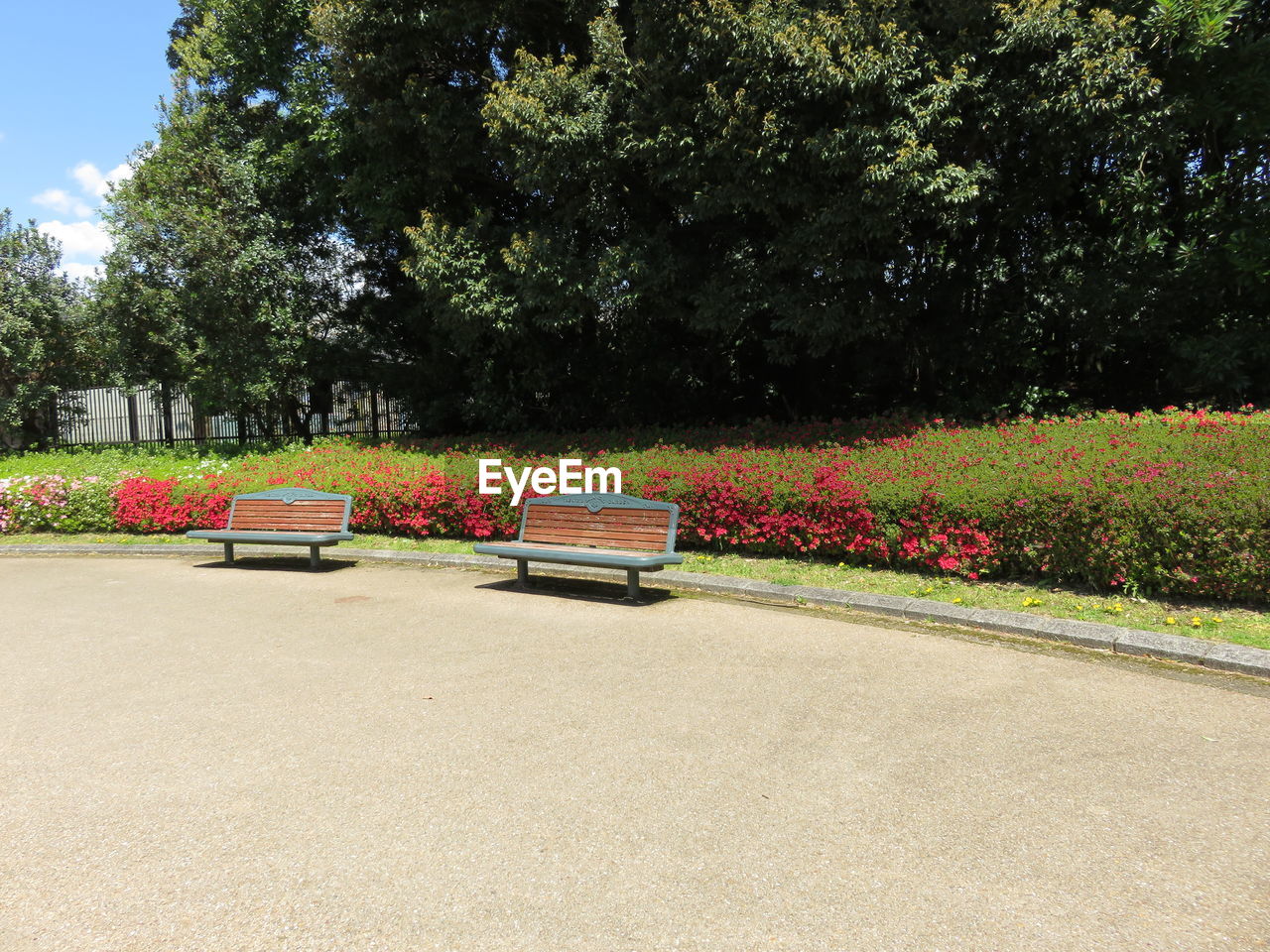 FLOWER PLANTS IN PARK