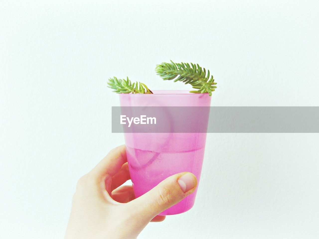 Close-up of human hand holding pink glass