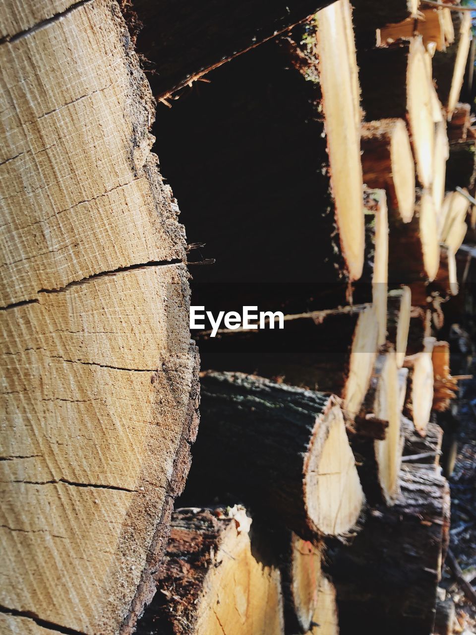 CLOSE-UP OF LOGS