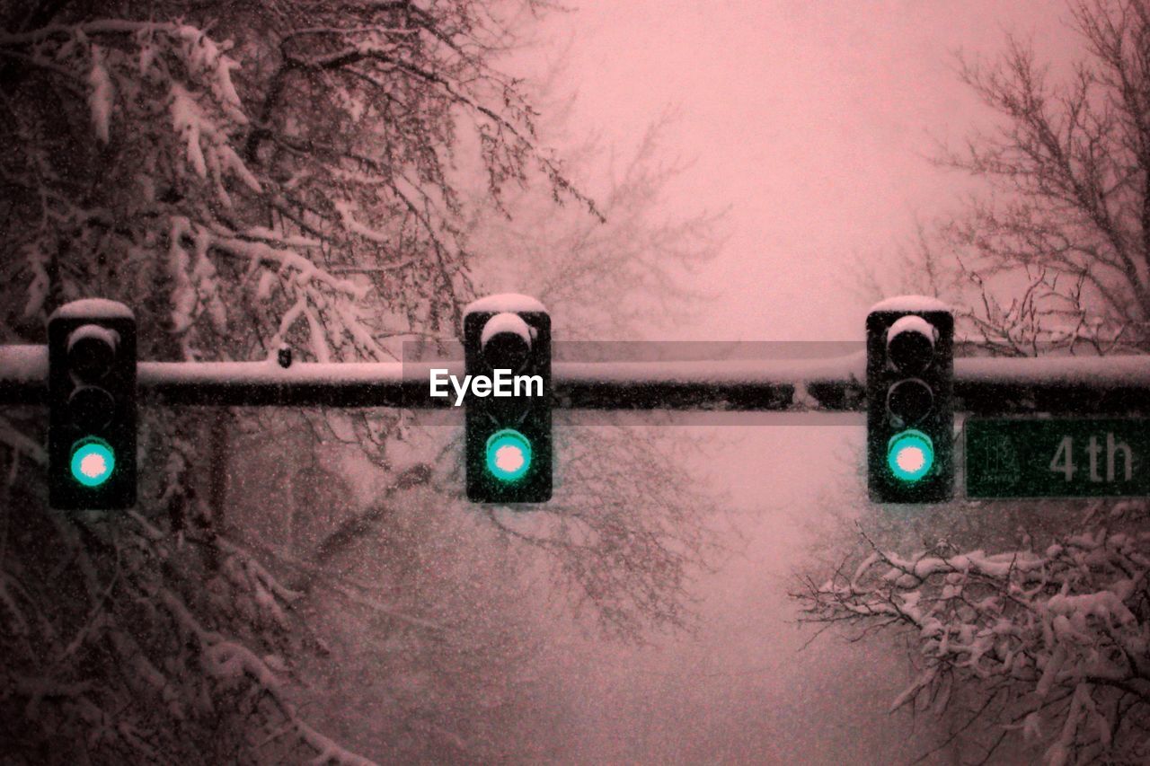 Green lights against frozen bare trees during winter