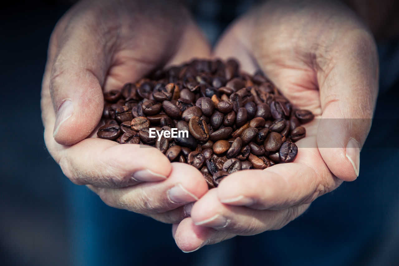 Cropped image of hand holding roasted coffee beans