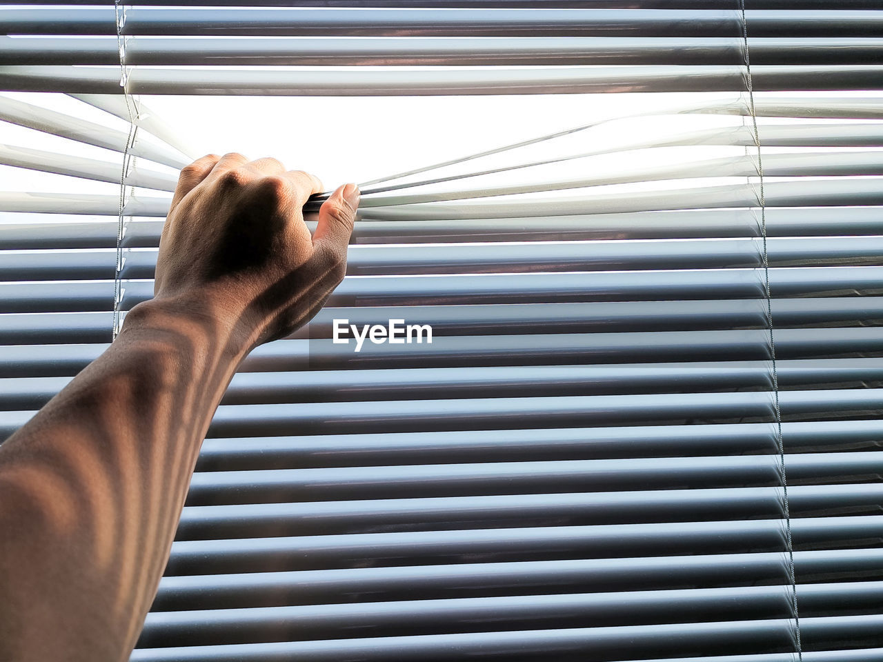 Close-up of hand holding blinds