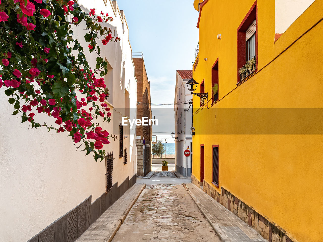 Narrow alley amidst buildings in city