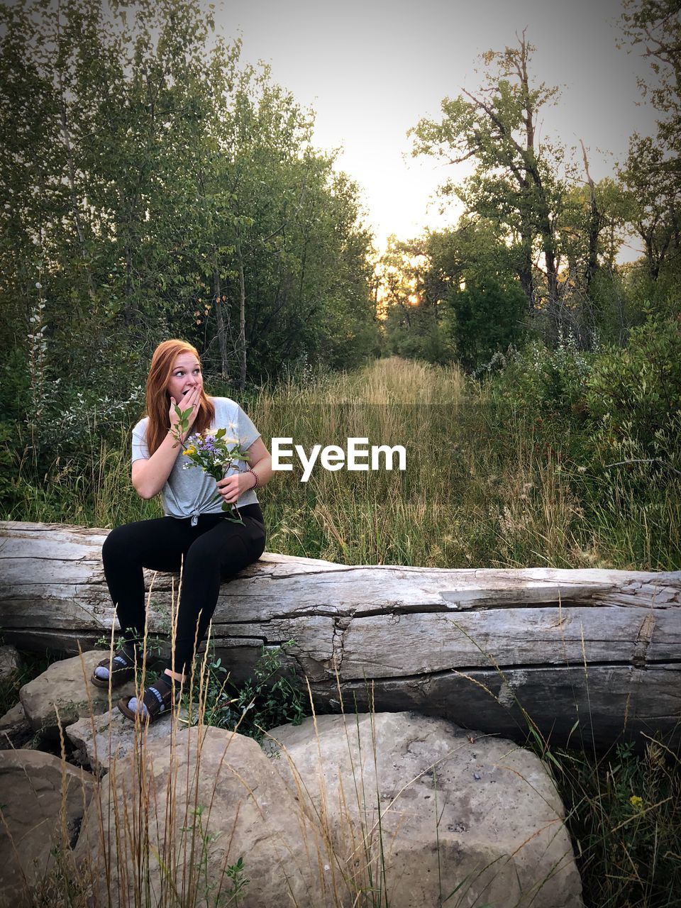 Surprised woman holding flower bouquet while sitting on wood against trees