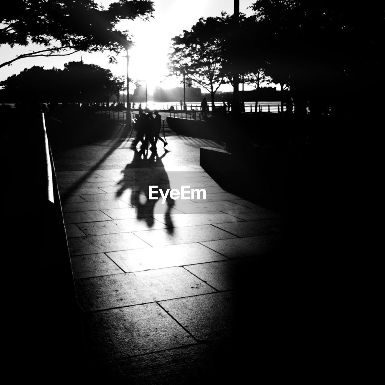 Shadow of people walking on street during sunny day