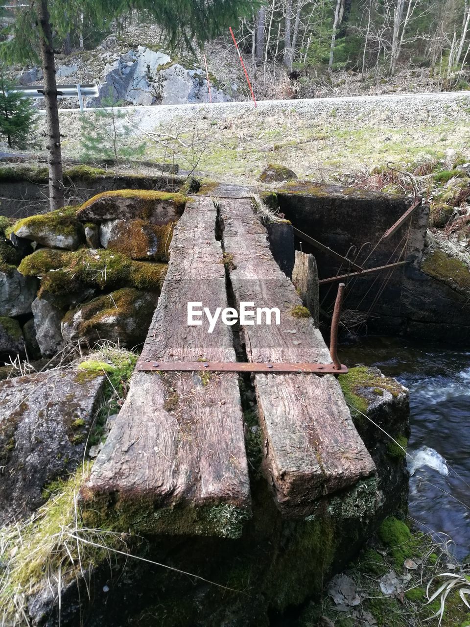 PLANTS GROWING BY ROCKS IN RIVER