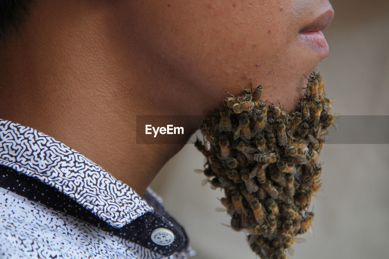 Close-up of man with bees on chin