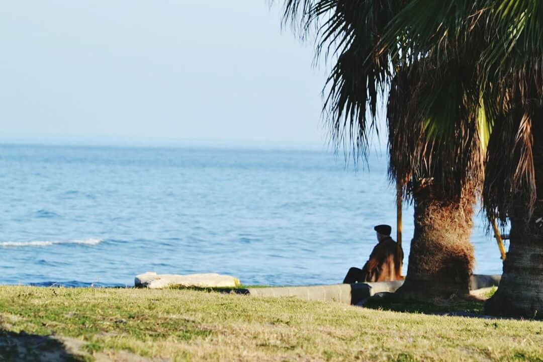 SCENIC VIEW OF SEA WITH TREES IN BACKGROUND