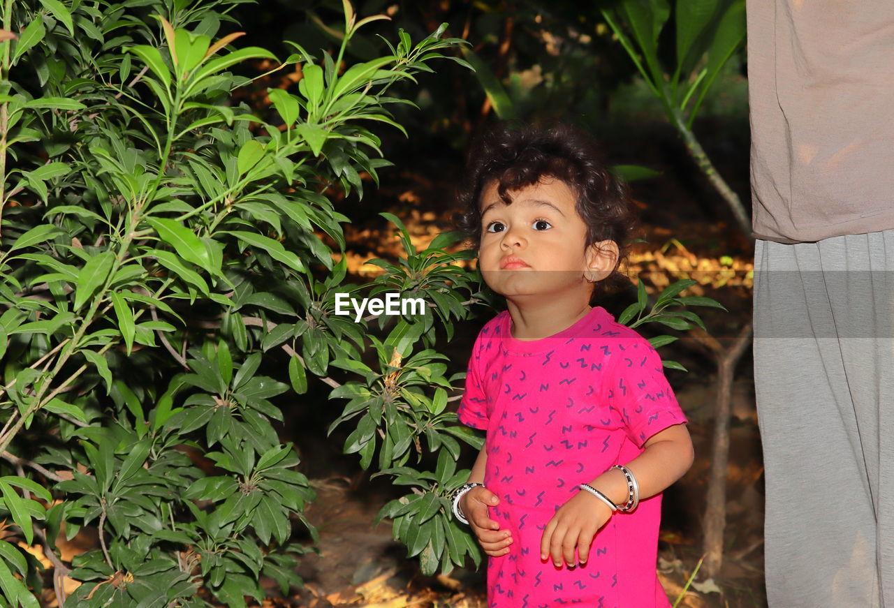 A beautiful indian child smiles at the chiku plant in the garden, indian child portrait in garden