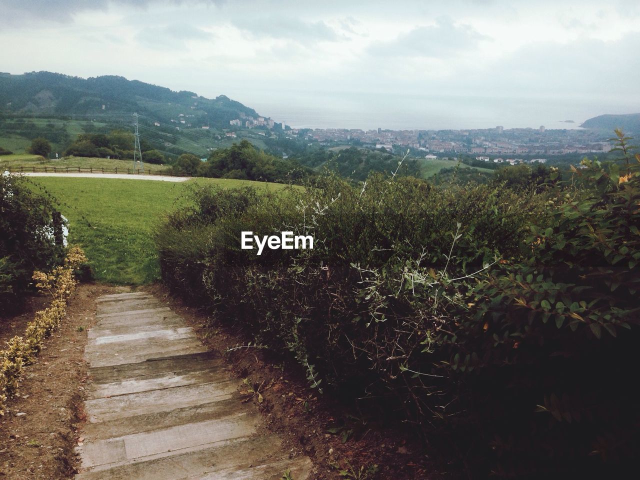 Narrow pathway along landscape