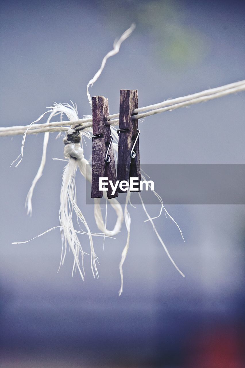 Close-up of clothespin on rope