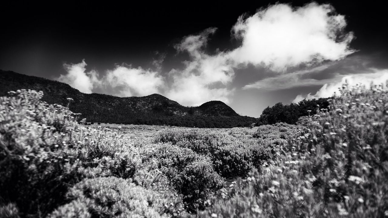 Low angle view of mountain landscape