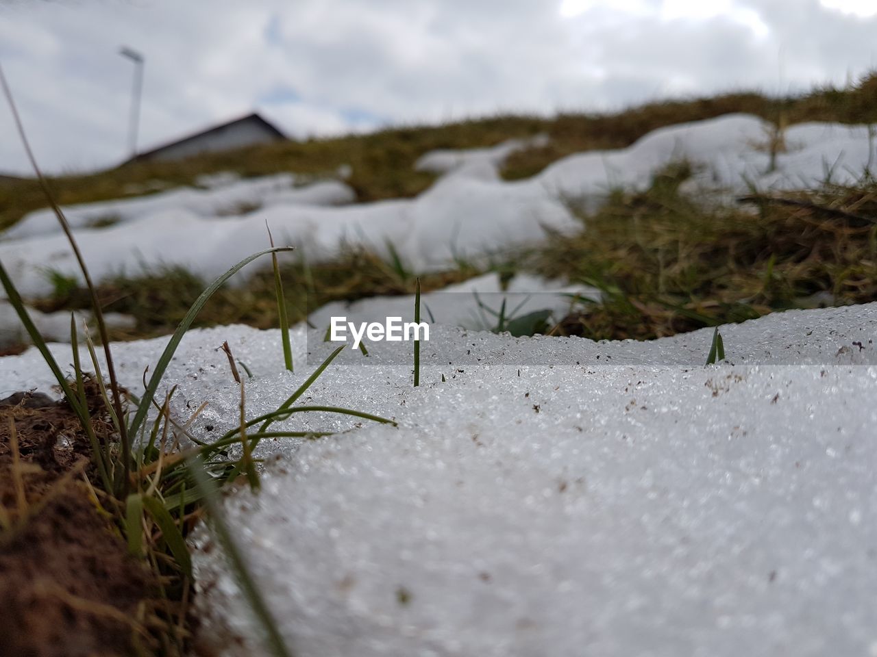 CLOSE-UP OF SNOW