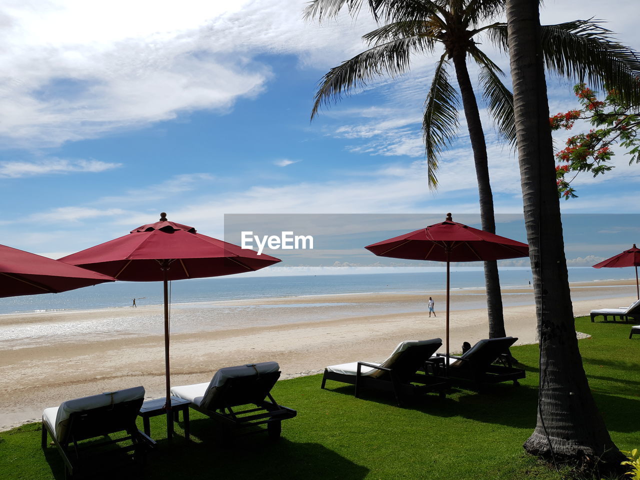Lounge chairs and palm trees on beach against sky