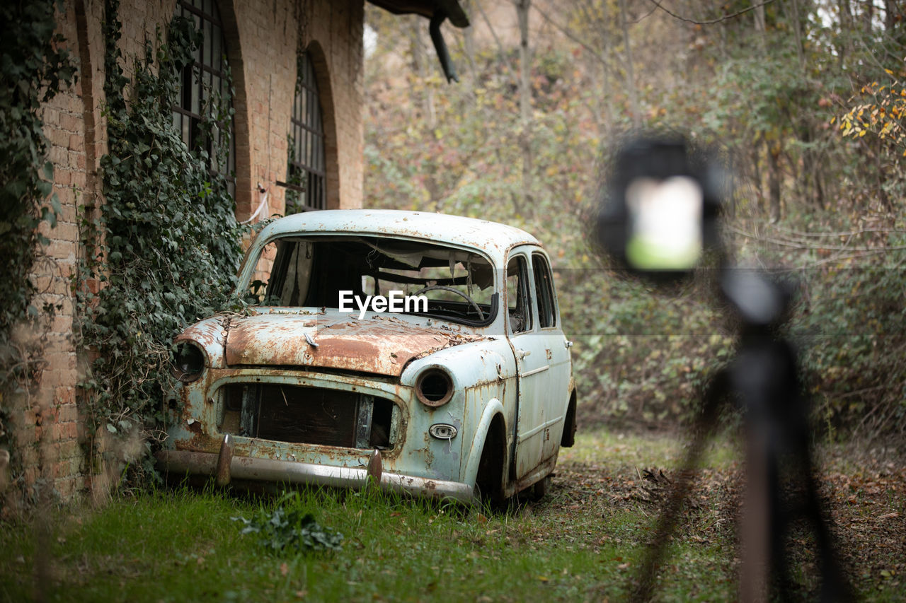 ABANDONED CAR IN FOREST