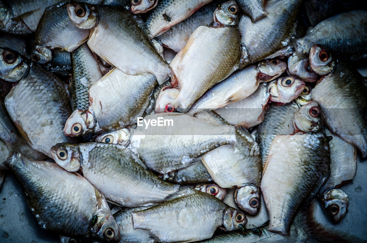 Full frame shot of fish for sale in market