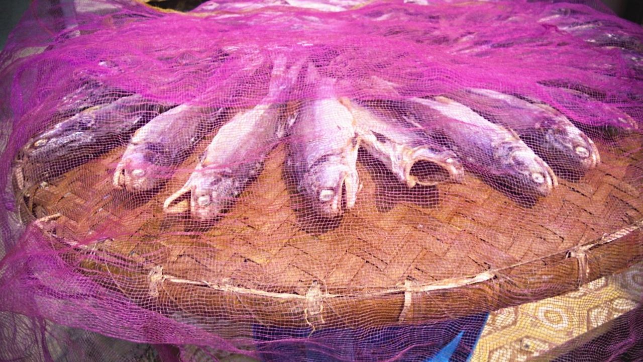 High angle view of fish in basket covered with net for display in market