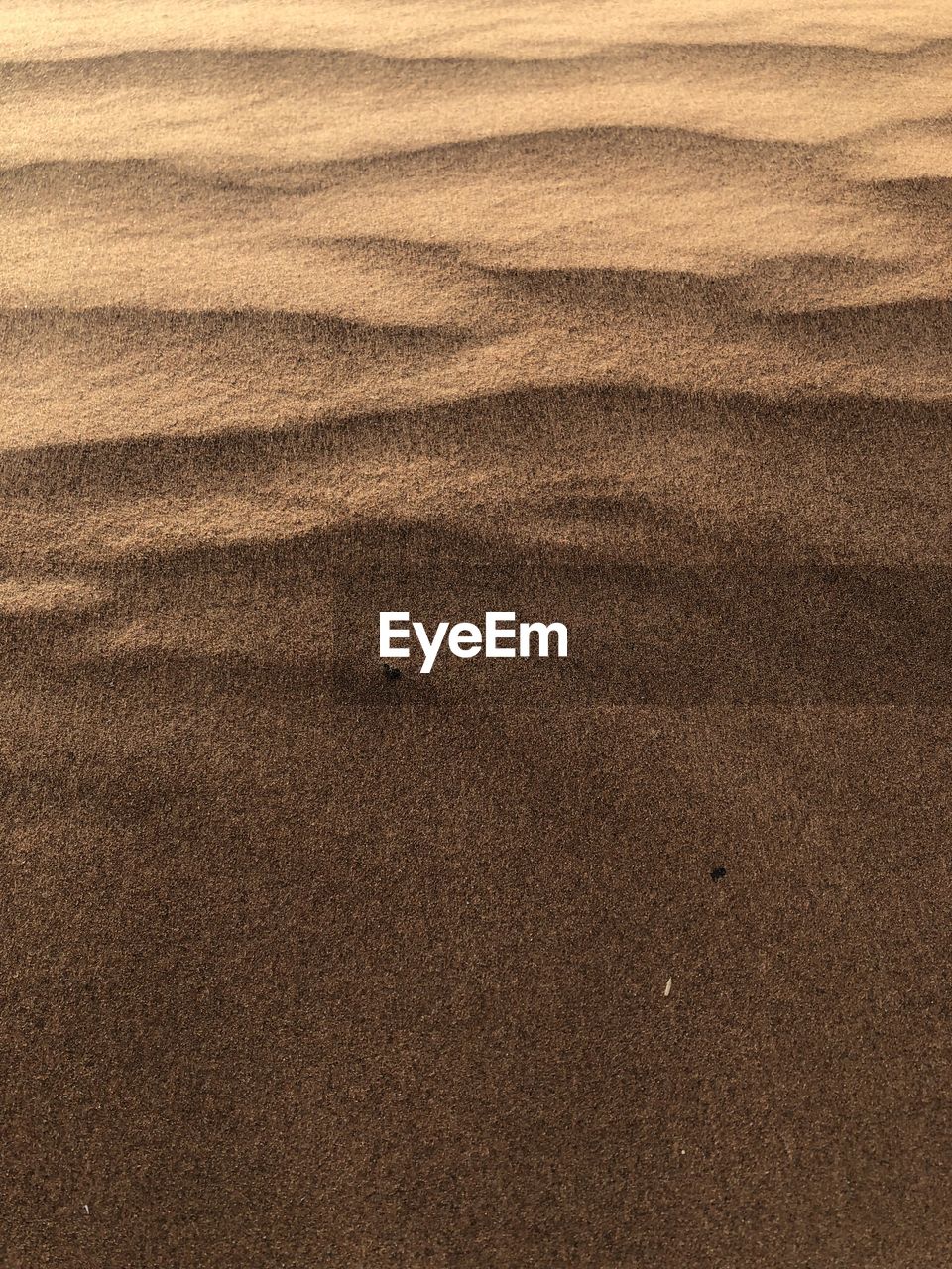 FULL FRAME SHOT OF SAND ON BEACH