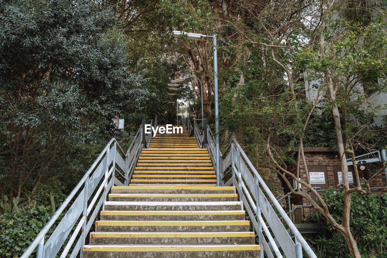 Low angle view of steps amidst trees in residential area