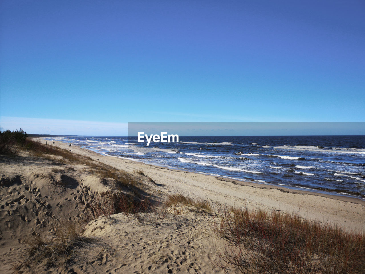 Scenic view of beach against clear blue sky