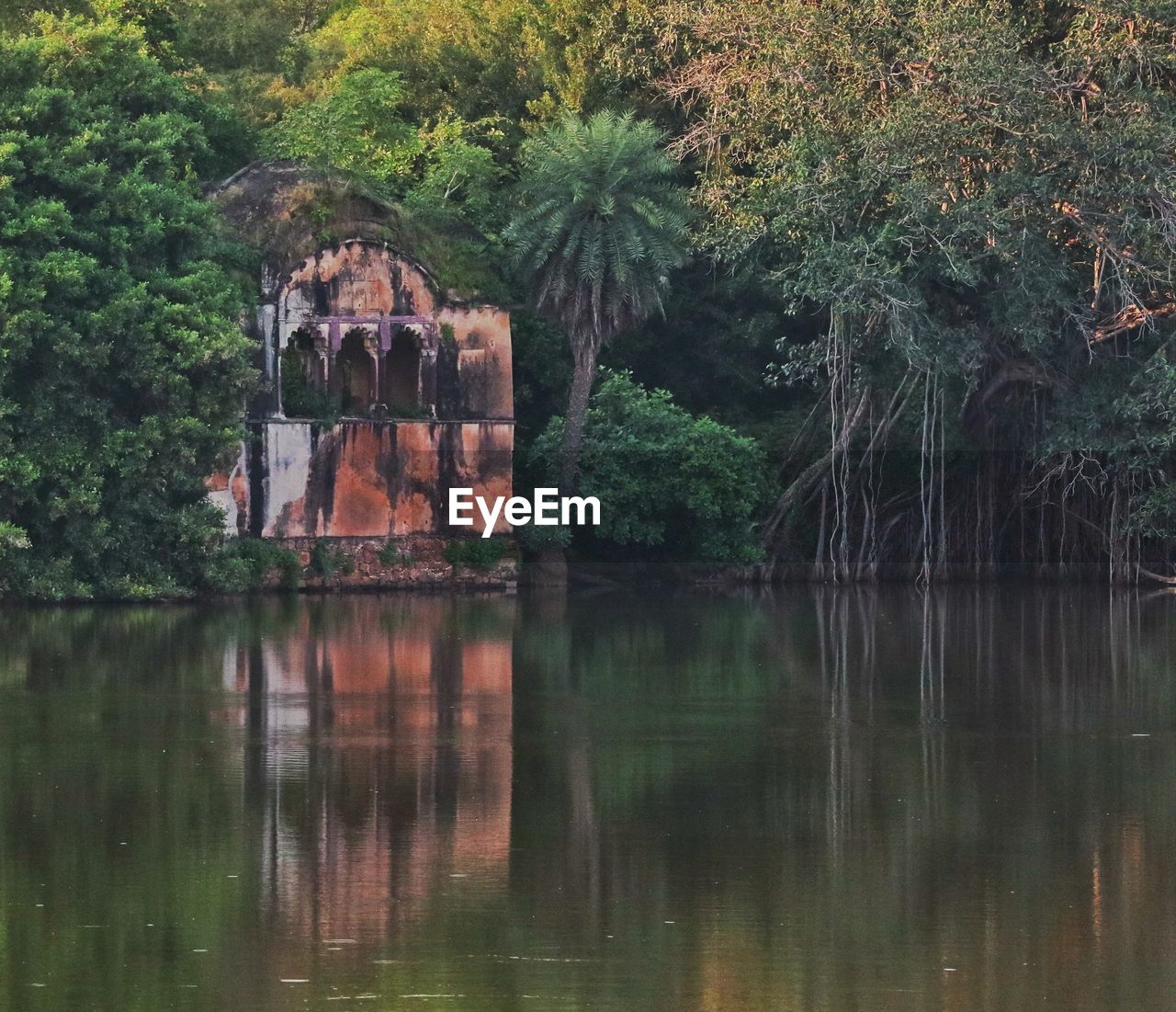 SCENIC VIEW OF LAKE