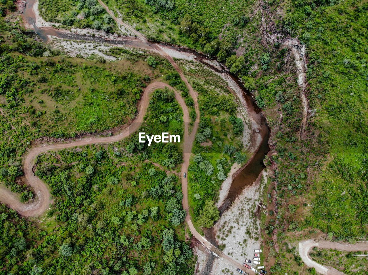 HIGH ANGLE VIEW OF ROAD AMIDST PLANTS IN FOREST