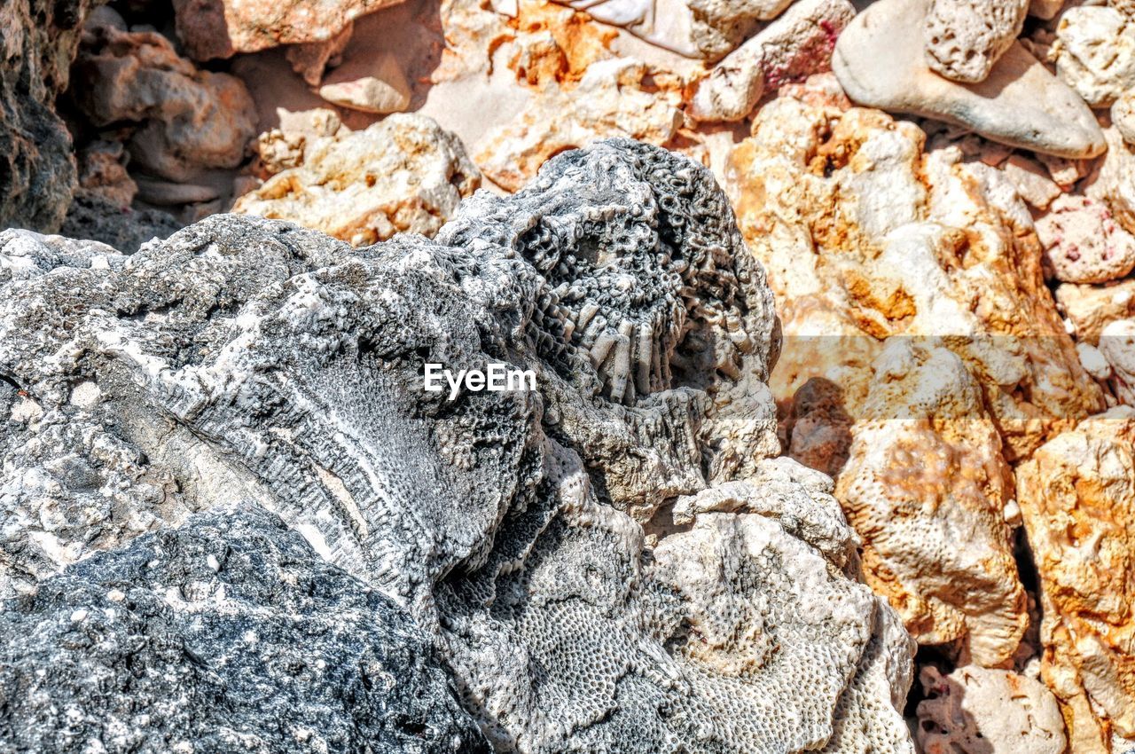 Extreme close up of rocky surface