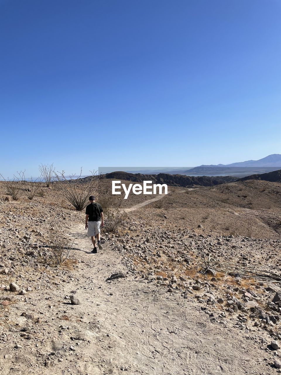 Rear view of man on land against clear sky