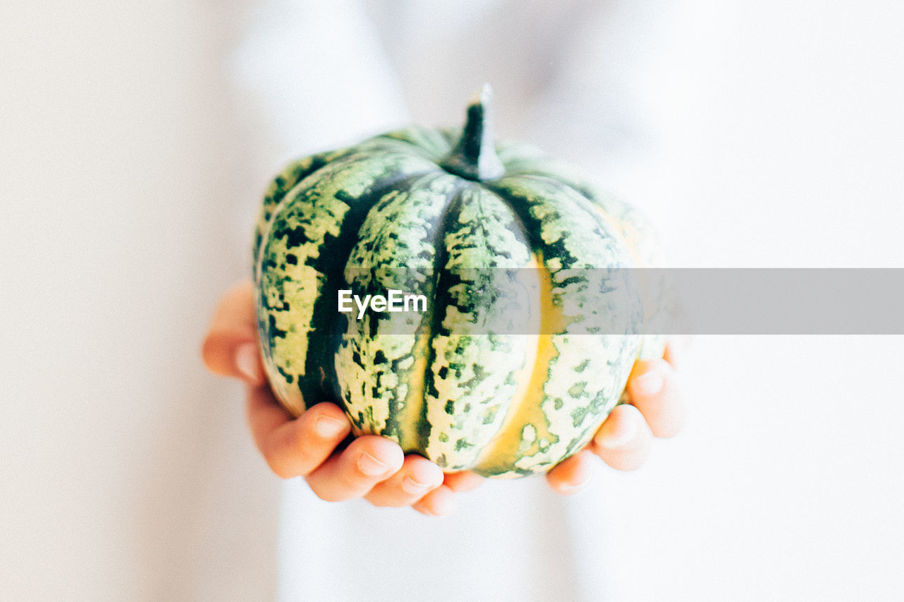 Cropped hands of woman holding pumpkin