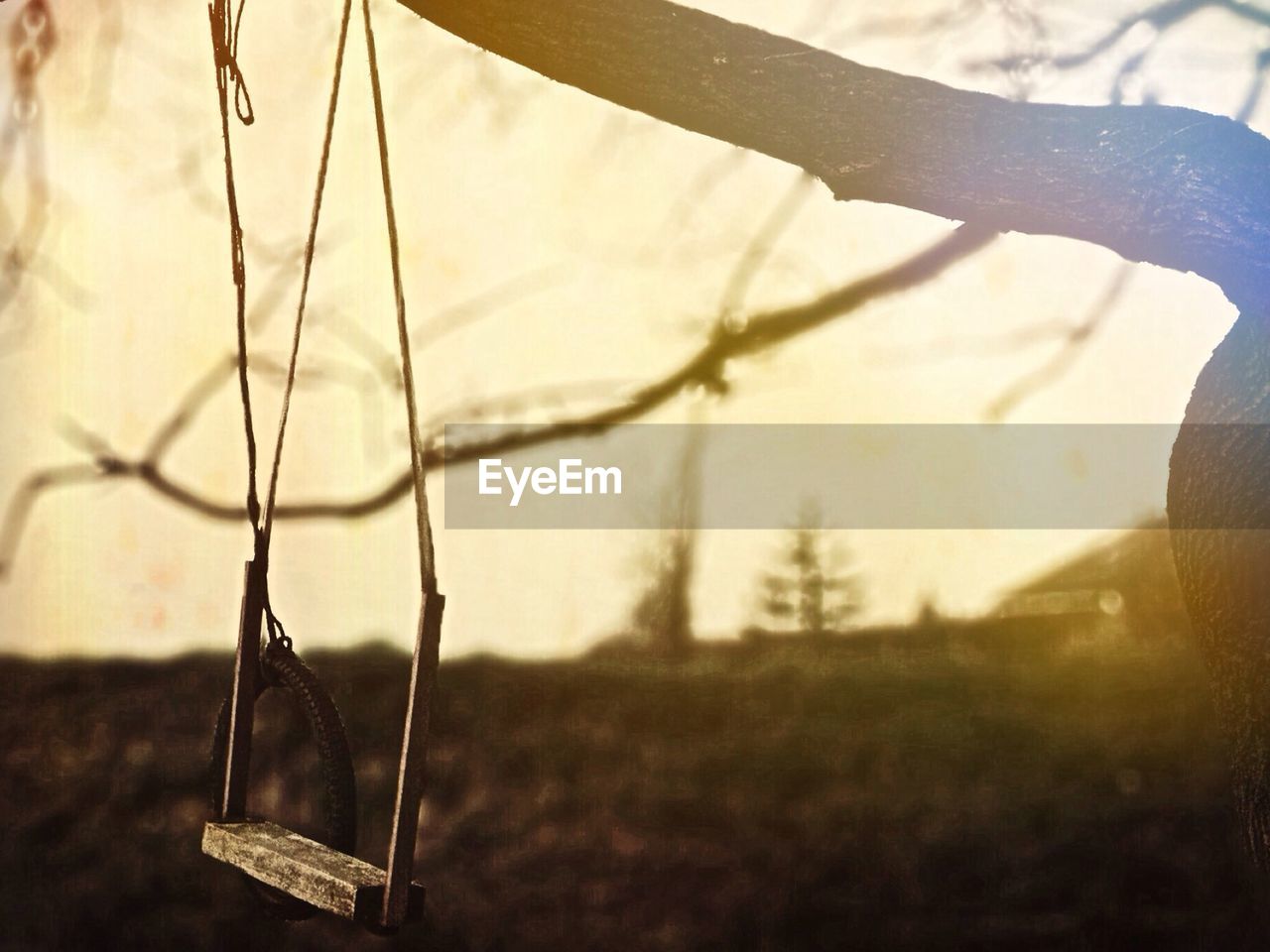 Empty swing at dusk