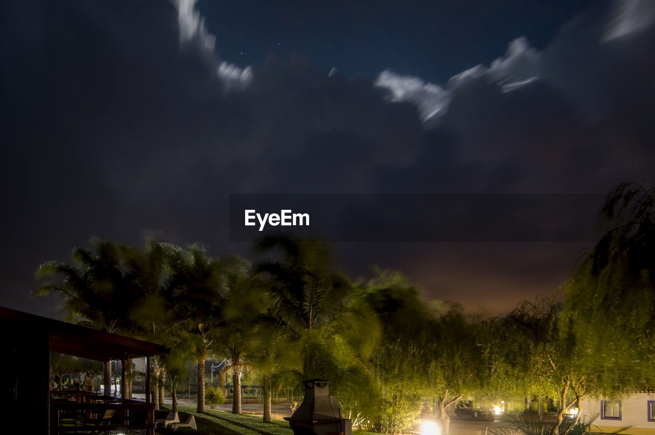 TREES AGAINST ILLUMINATED SKY AT NIGHT