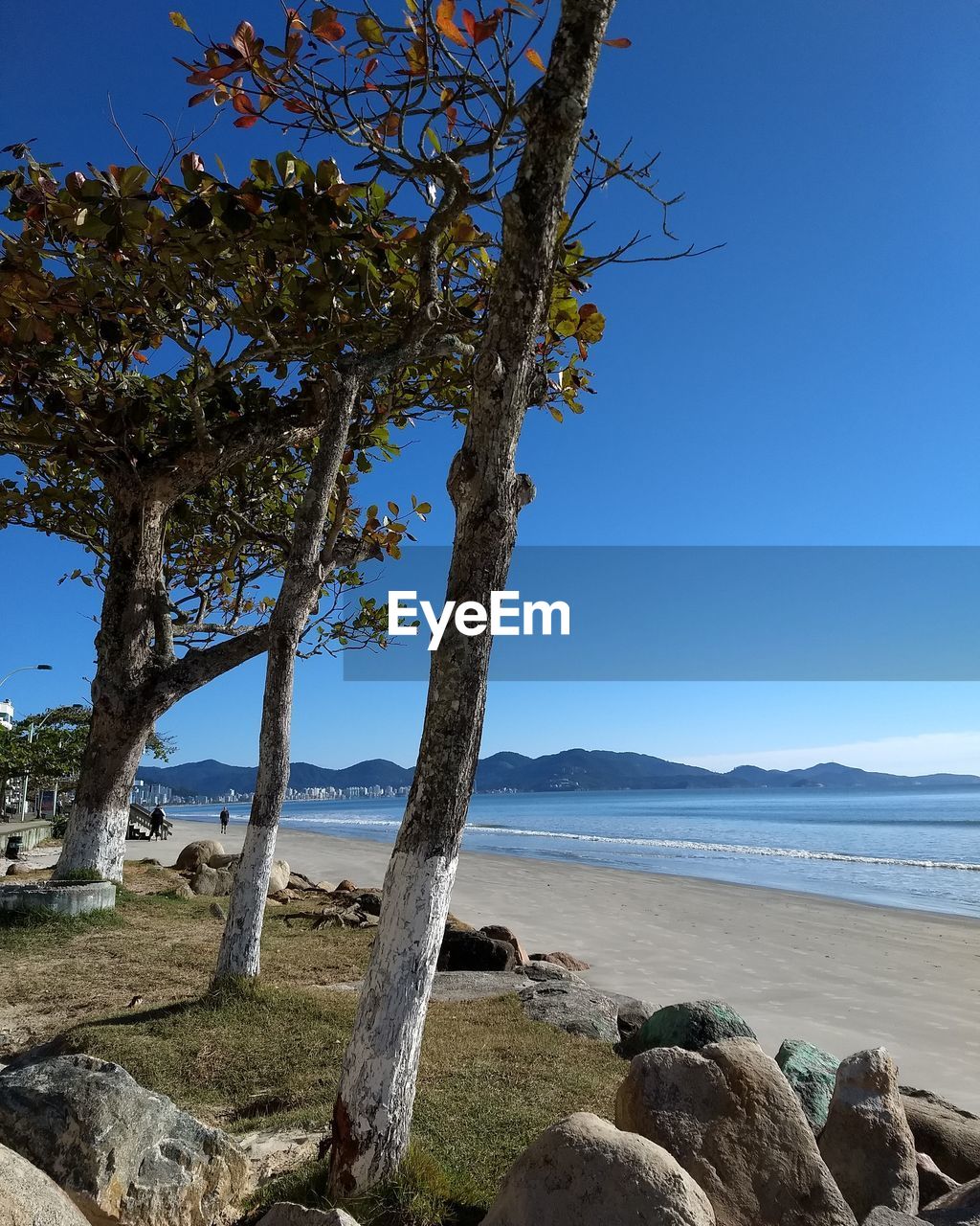 Scenic view of sea against clear blue sky