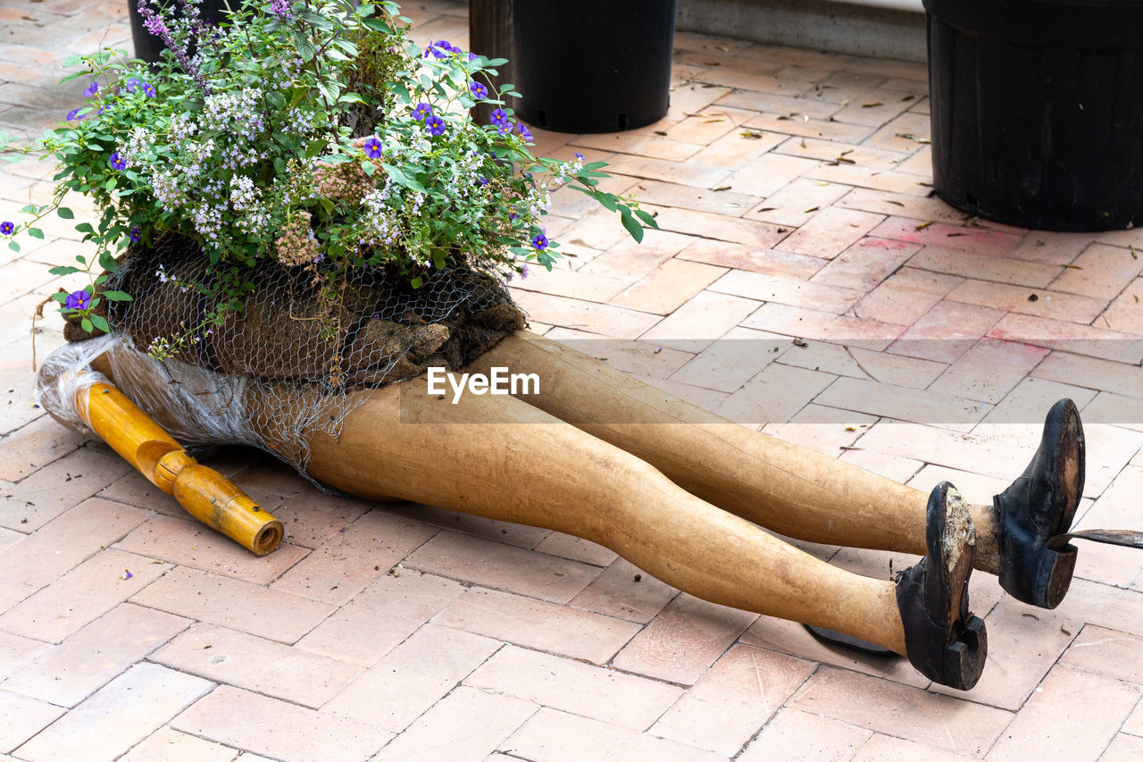 HIGH ANGLE VIEW OF FLOWER POT ON FLOOR