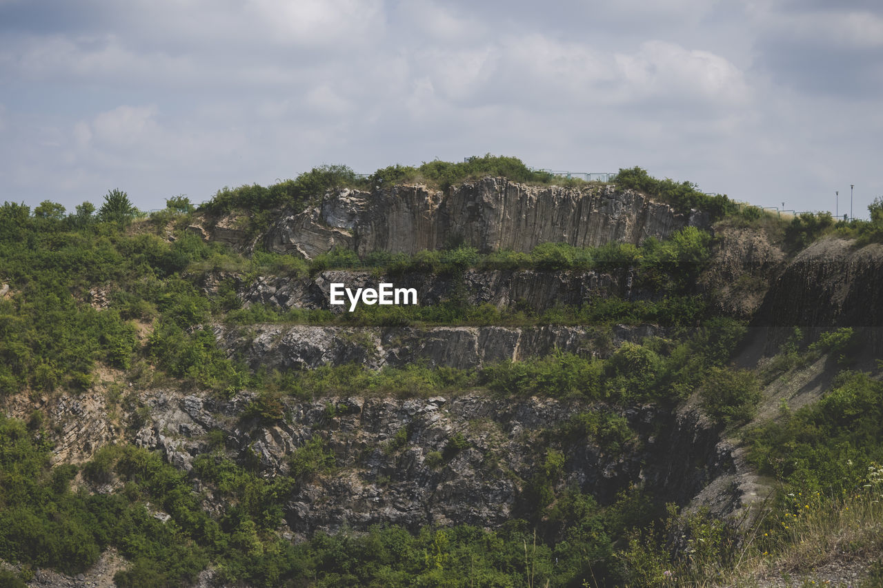 PLANTS GROWING ON ROCK FORMATION