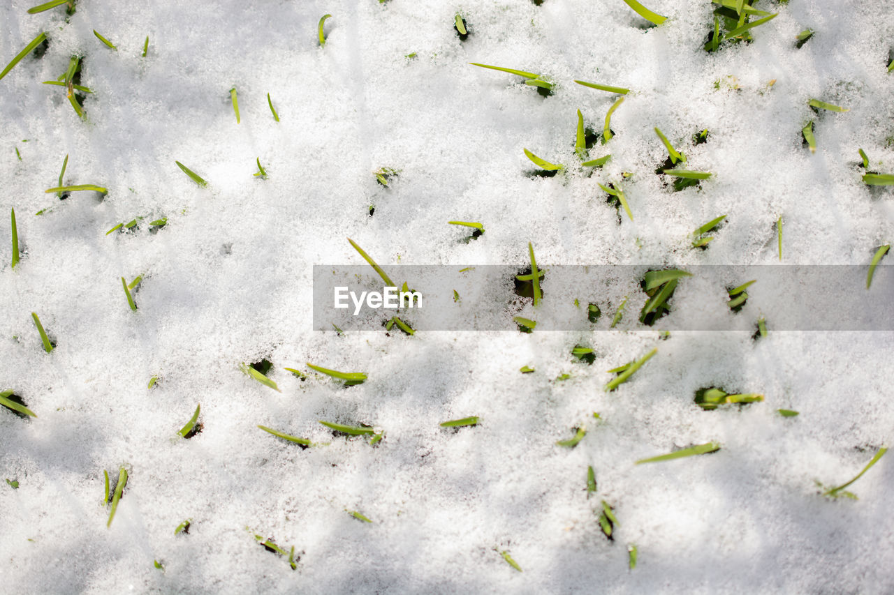 High angle view of snow covered field