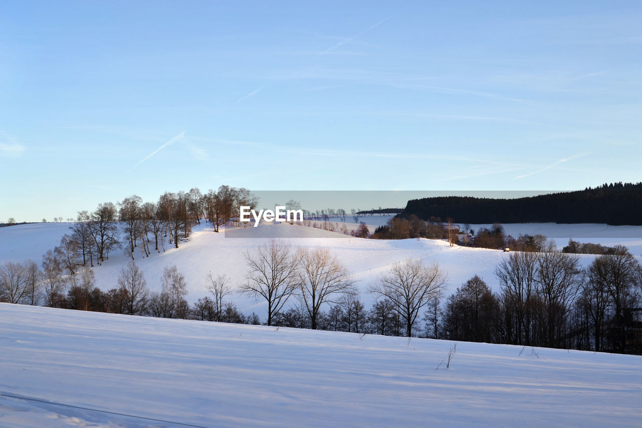 TREES ON SNOW COVERED LAND AGAINST SKY