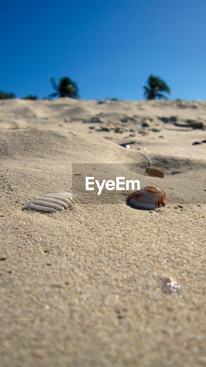 CLOSE-UP OF SAND ON BEACH