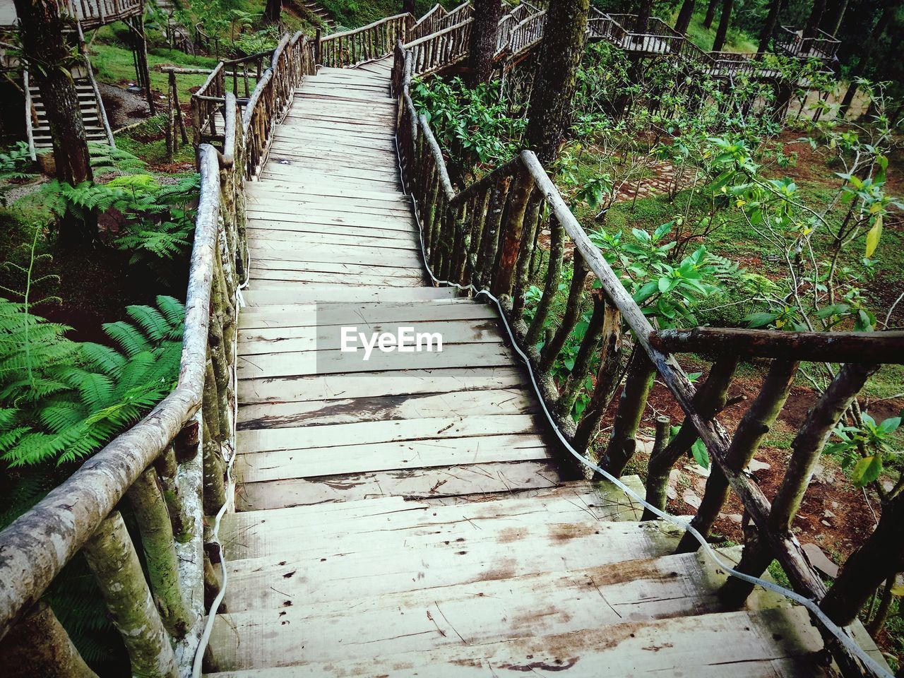 High angle view of wooden staircase in forest