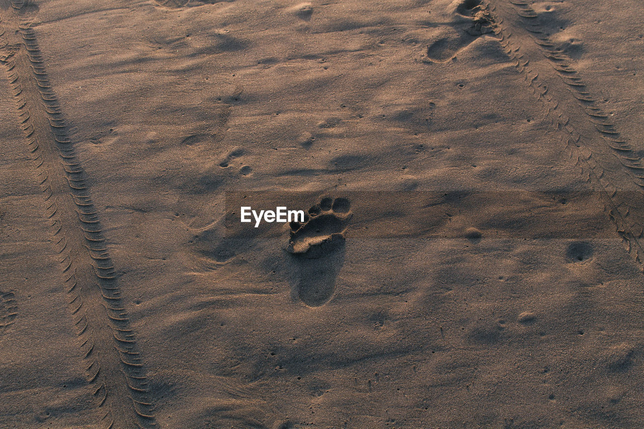 High angle view of footprints at sandy beach